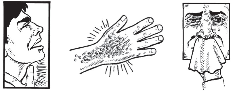 chemicals effects on body