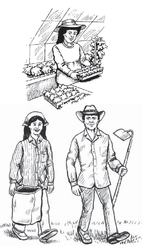 workers walk to field and worker in greenhouse