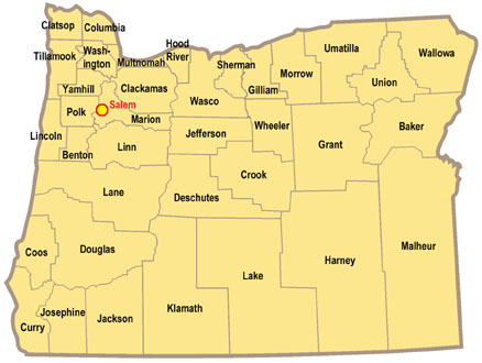 County Map Graphic